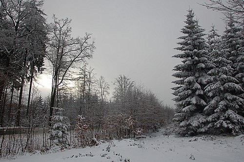 misenske vodopady