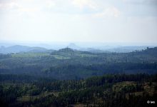 Weifberg, v pozadí Lilienstein