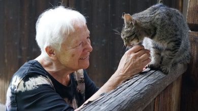 Jana Štroblová s kočičkou – srpen 2020, foto Vojtěch Kemenny